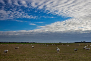 Landschapsfotografie Texel
