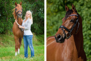 Paardenfotografie Texel